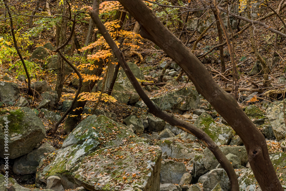 Fototapeta premium Large granite boulders on mountainside