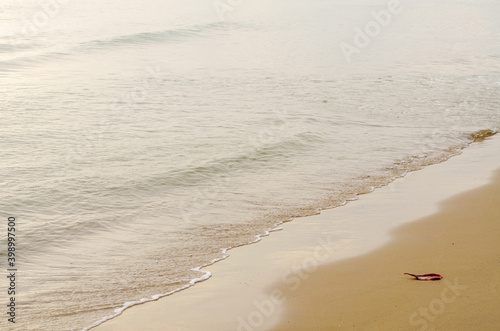 Fototapeta Naklejka Na Ścianę i Meble -  The sea waves hit the beach