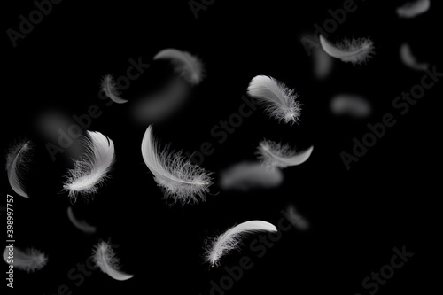 Group of light soft fluffy a white feathers flolating in the dark. black ground. abstract, feather freedom floating. photo