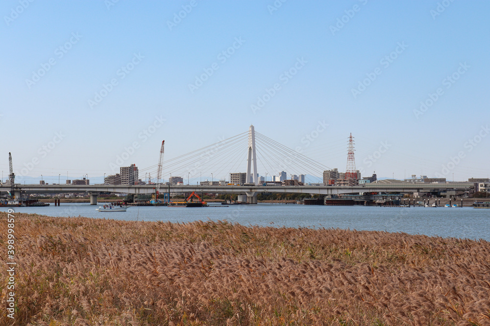 Obraz premium 多摩川と大師橋(神奈川県川崎市)