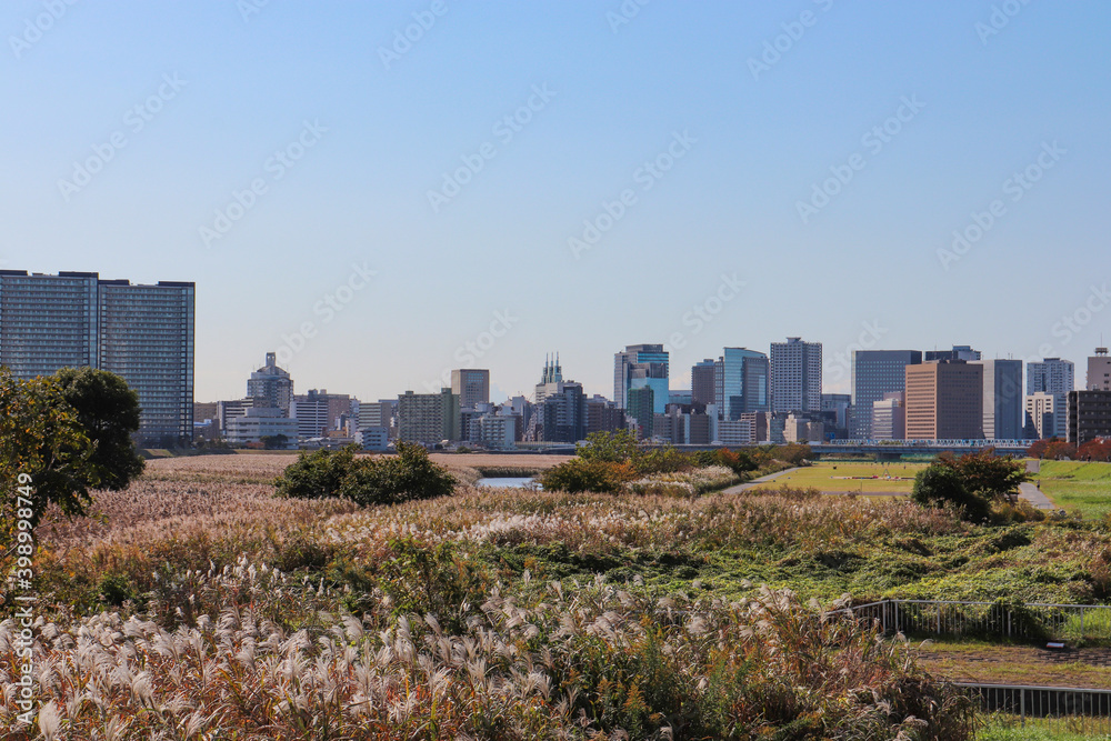 Fototapeta premium 南六郷付近から見た多摩川と川崎の街並み(東京都大田区)