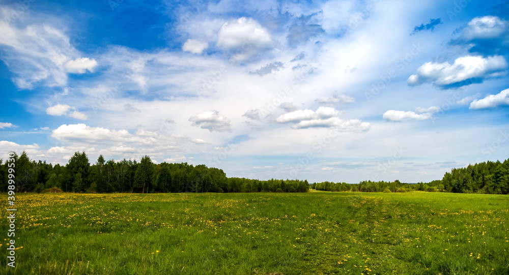 Summer landscape: sky, clouds, bushes, trees, grass, yellow flowers