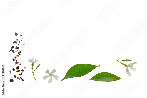 jasmine flowers and dried green tea isolated on white background with copy space above