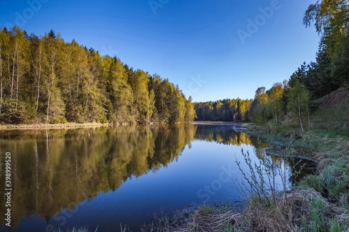 River and trees against the blue sky in summer