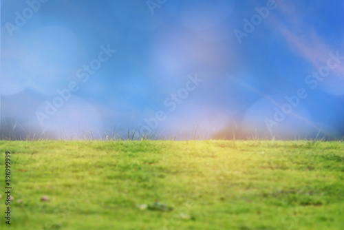 Green grasses on blue sky background  Natural concept and copy space idea