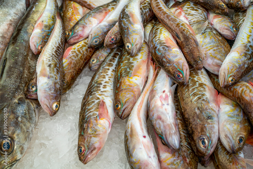 Capbreton, France 27.06.2020 Fresh fishes in a market. Fish caught in the Atlantic ocean Capbreton, France 27.06.2020 Fresh fishes in a market. Fish caught in the Atlantic ocean