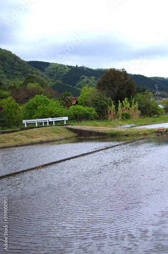 Japanese country road