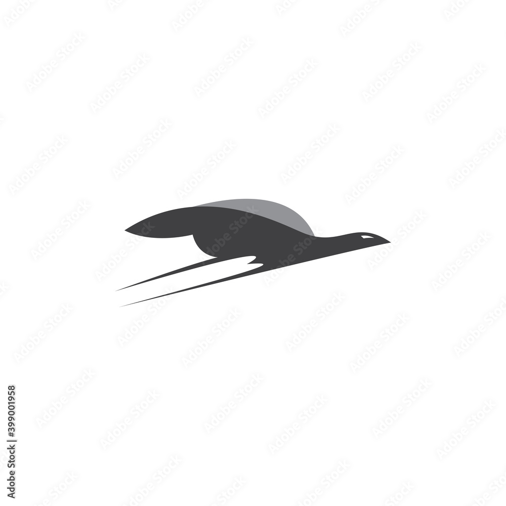 Obraz premium flying eagle logo bird logo design