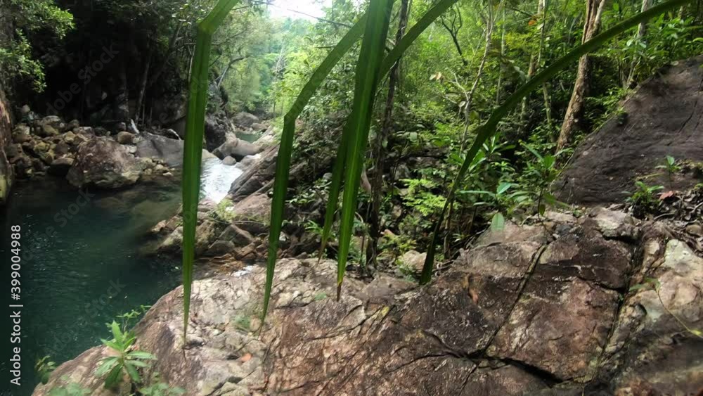 PoV : hiking along wild water stream in the jungle enjoying nature with natural pond PoV : hiking along wild water stream in the jungle enjoying nature with natural pond