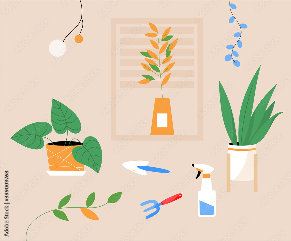 Apartment with potted houseplant and tools for planting Apartment with potted houseplant and tools for planting