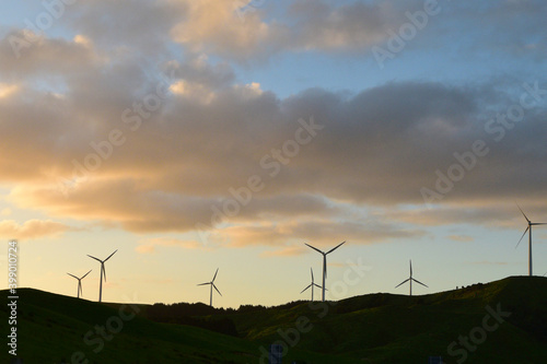 wind turbines farm for electricity in new zealand