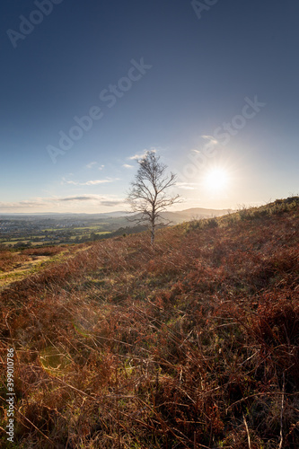 Ireland - Irish Landscape