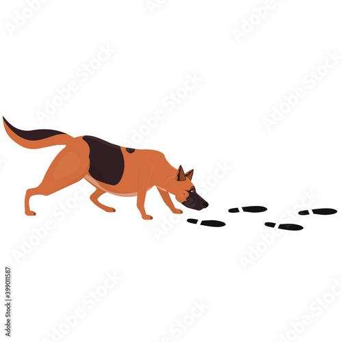 Dog is on the trail. tracking, vector illustration