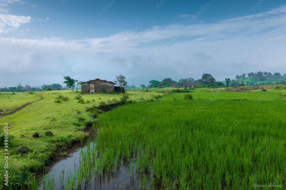 Rainy Landscape at Bhandardara, India
