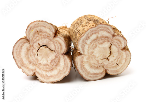 Fotografie Root of kudzu vine,puerarin Isolated on a white background