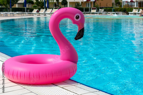 Flamingo print. Pink inflatable flamingo in pool water for summer beach background. Minimal summer concept. © Maksym