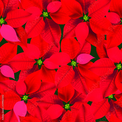 Christmas Winter Poinsettia Flowers. Seamless background  floral pattern. Printing on textiles  paper.