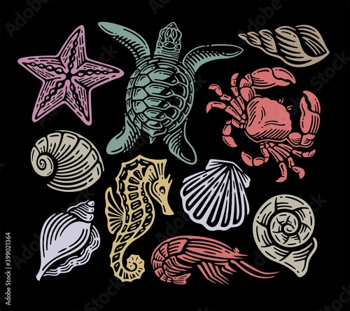 doodle vintage set of under the sea animal