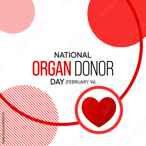 Vector illustration on the theme of National Organ Donor day observed each year on February 14th.