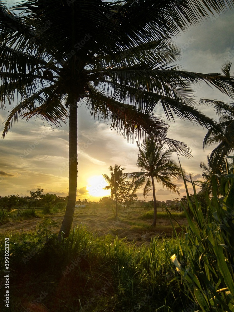 sunset on the village 