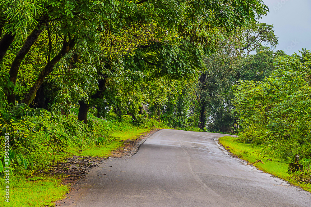 Obraz premium Picture of clean and empty asphalt road with Scenic forest landscape