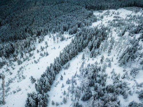 Winterly frozen forest - Aerial view