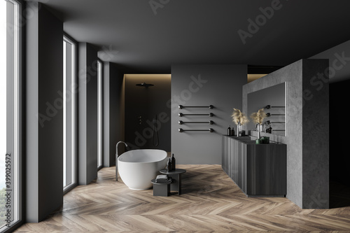 Modern gray and wooden bathroom  side view