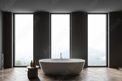 Modern gray bathroom interior with tub