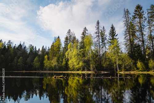 Photography Hiking in the forest of Oslo