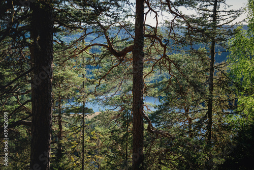 Photography Hiking in the forest of Oslo