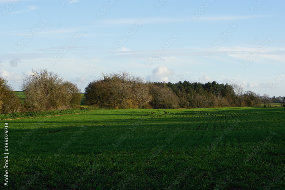 Suffolk fields near Haverhill. Green patterns, woods, sunny day, some shadows, lovely autumn winter walk in UK. December 2020