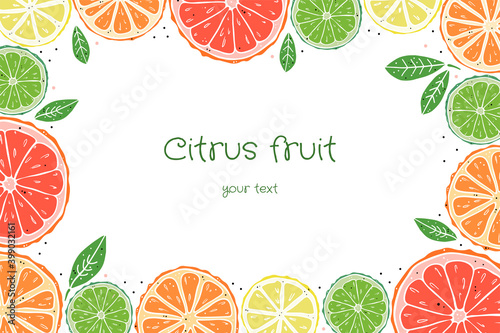 Rectangular frame of citrus fruit on a white background. Doodle style. Place for your text.
