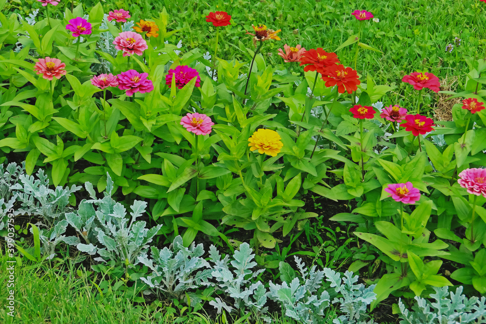 Jardines del Parque Herastrau en Bucarest, Rumania. Césped y flores en la zona verde más grande de la ciudad.