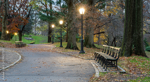 Autumn in Central Park