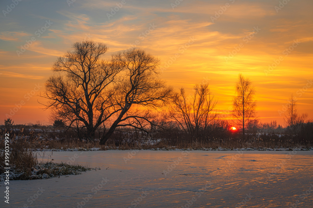 Frozen river, bare trees and field of dry reeds at winter sunset with orange and blue sky Frozen river, bare trees and field of dry reeds at winter sunset with orange and blue sky