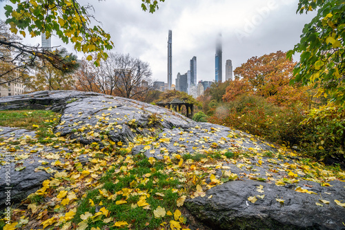 Photography Autumn in Central Park