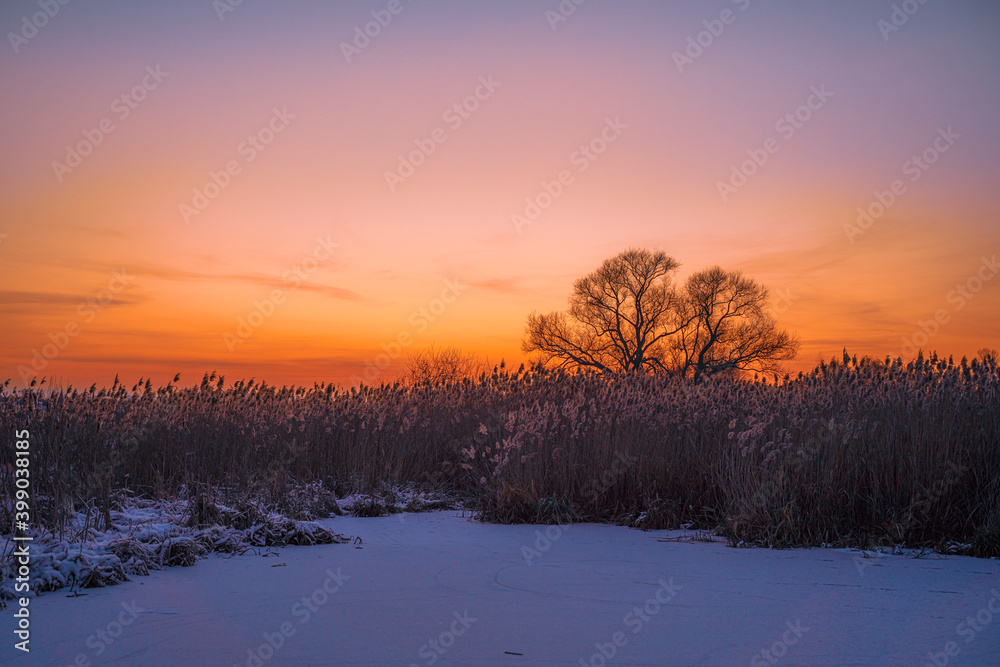 Winter sunset over the frozen river with dry grass, gradient sky and isolated tree