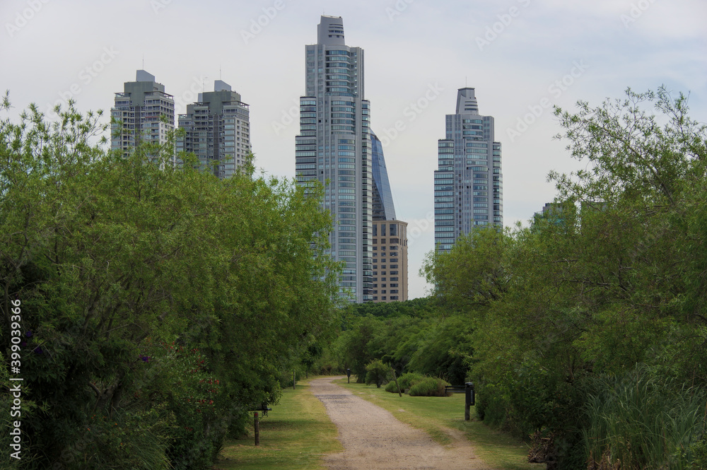 Vue sur les buildings de Buenos Aires depuis un chemin du parc de la réserver écologique