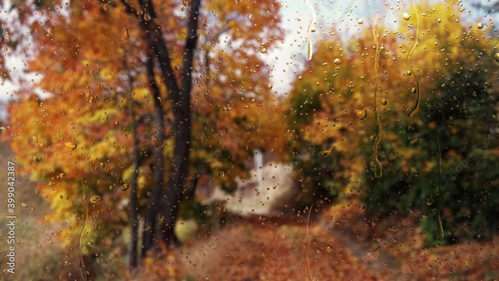 Falling rain drops on window surface. 4K loop video animation. Natural autumn tree and river landscape. Flowing water drops on blurry glass.