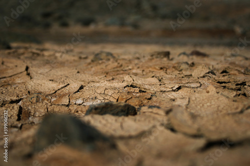 Cracks Formed In Dry Soil