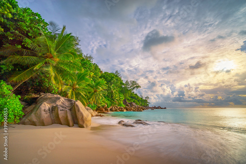 palm trees on tropical beach anse georgette on praslin island. paradise on the seychelles