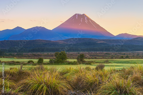 panorama of cone volcano Mount Ngauruhoe at sunrise in New Zealand