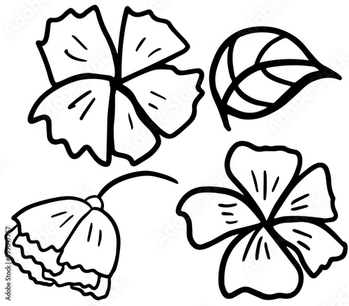 Minimalistic outline flowers and a leaf - black and white isolated elements on white background. Digital illustration. Decorative floral elements for templates, greeting cards, web banner etc.