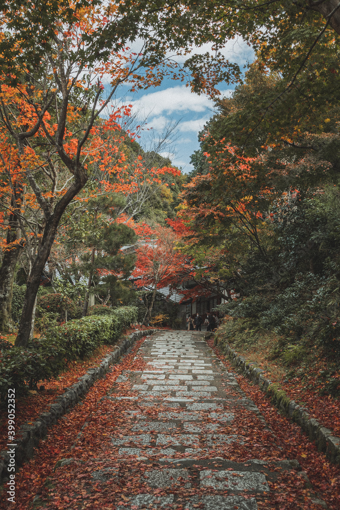 日本 京都 秋の宝匡院と紅葉景色
