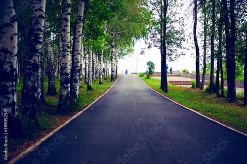 road in the forest