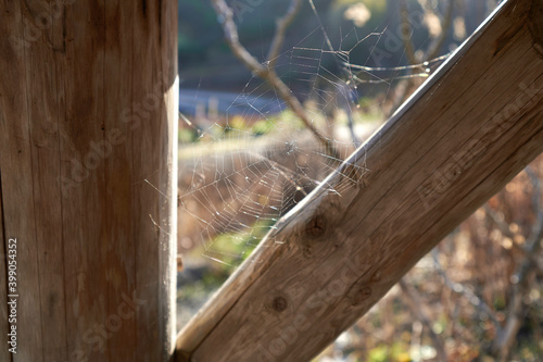 web