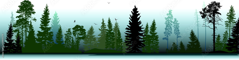 Fototapeta premium fir trees forest on light green background