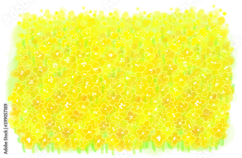 水彩の菜の花畑のイラスト