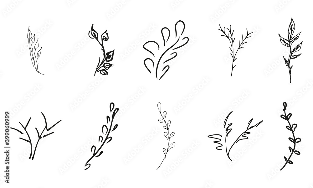 Obraz premium Doodle simple vector collection of 10 hand-drawn floral elements. Big collection of 10 hand-drawn branches. Big floral botanical set. Isolated on white background.