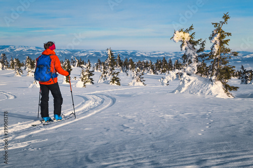 Ski touring in the deep powder snow, Carpathians, Transylvania, Romania